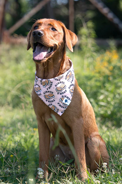 Dog Bandana Co - Camping & Smores