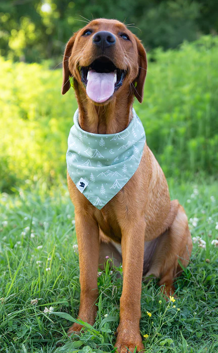 Dog Bandana Co - Camping & Smores