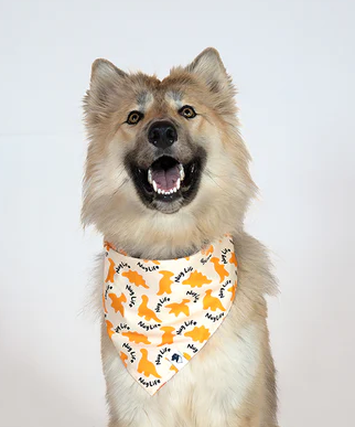 Dog Bandana Co - Chicken Nugget