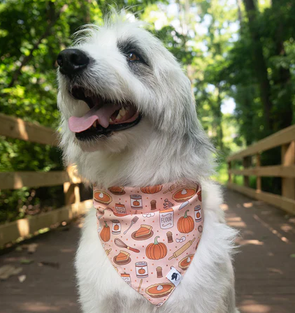 Dog Bandana Co - Everyone is Thankful