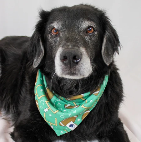 Dog Bandana Co - Football & Baseball