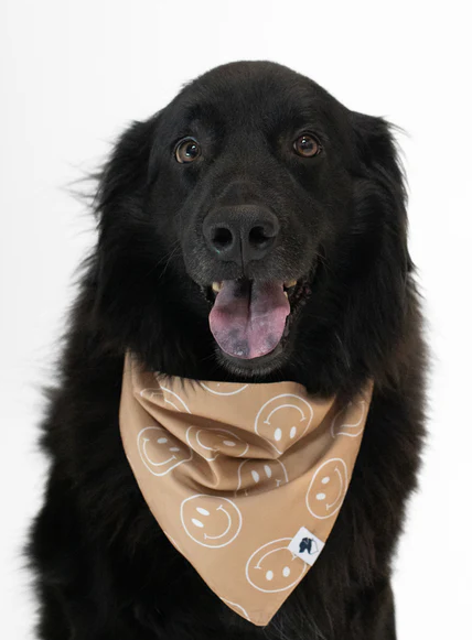 Dog Bandana Co - Smiles