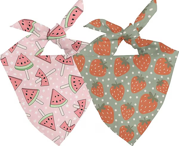Dog Bandana Co - Watermelon & Strawberry - Large