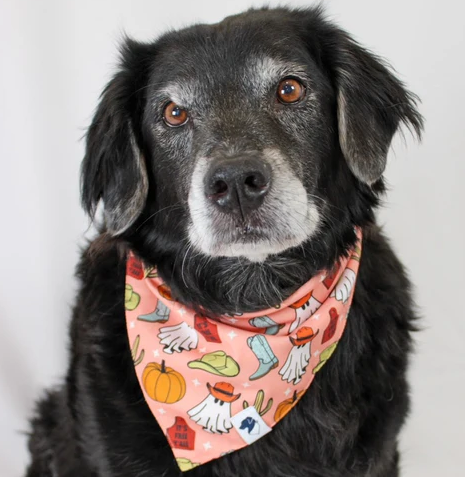 Dog Bandana Co - It's Fall Y'all