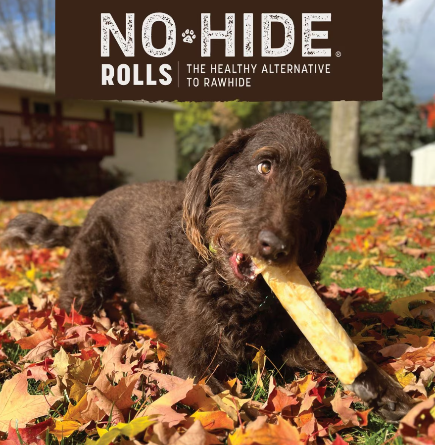 Earth Animal No Hide Pumpkin Spice - Medium