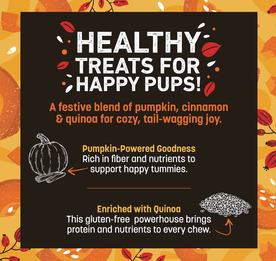 Earth Animal Wisdom Pumpkin Spice Jerky
