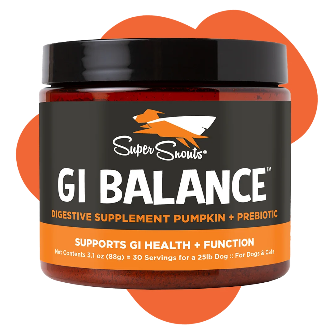 Super Snouts GI Balance