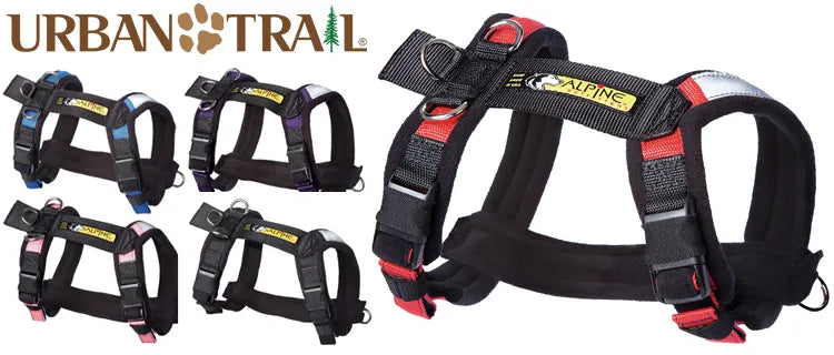 Alpine Outfitters Urban Trail® Adjustable Harness