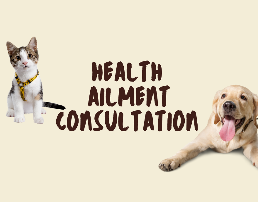 Health Ailment Consultation