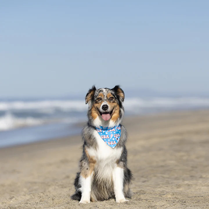 Dog Bandana Co - USA