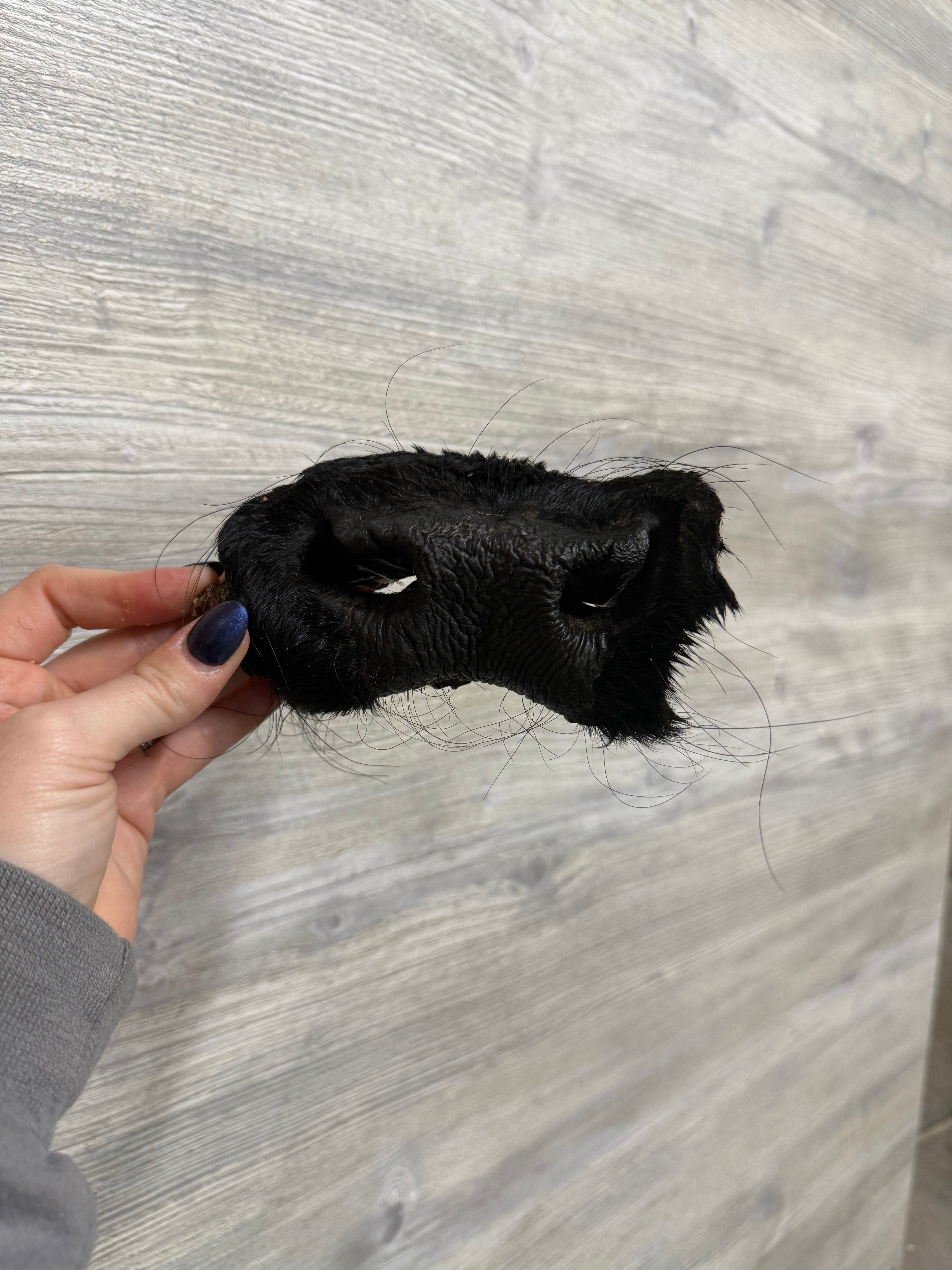 K-9 Kraving Beef Snout