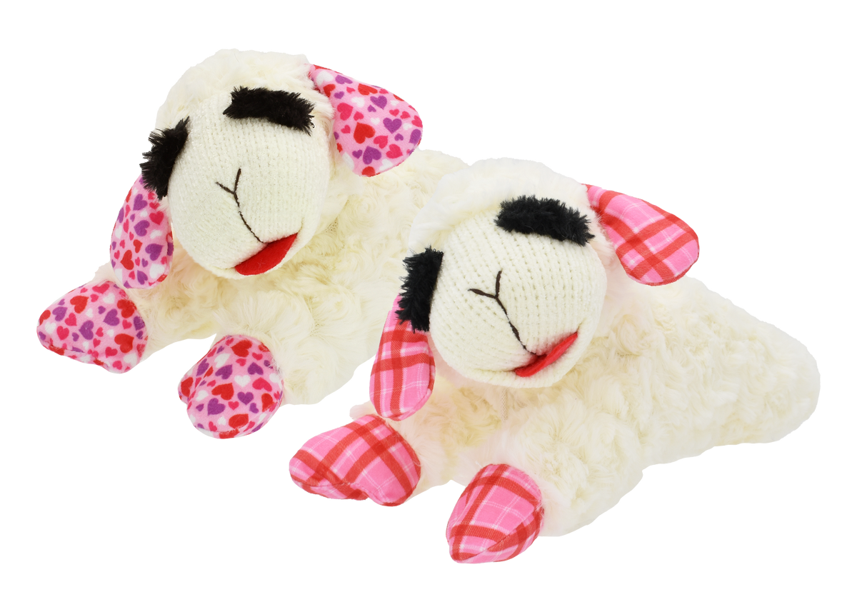 Multipet Valentine's Day Lamb Chop