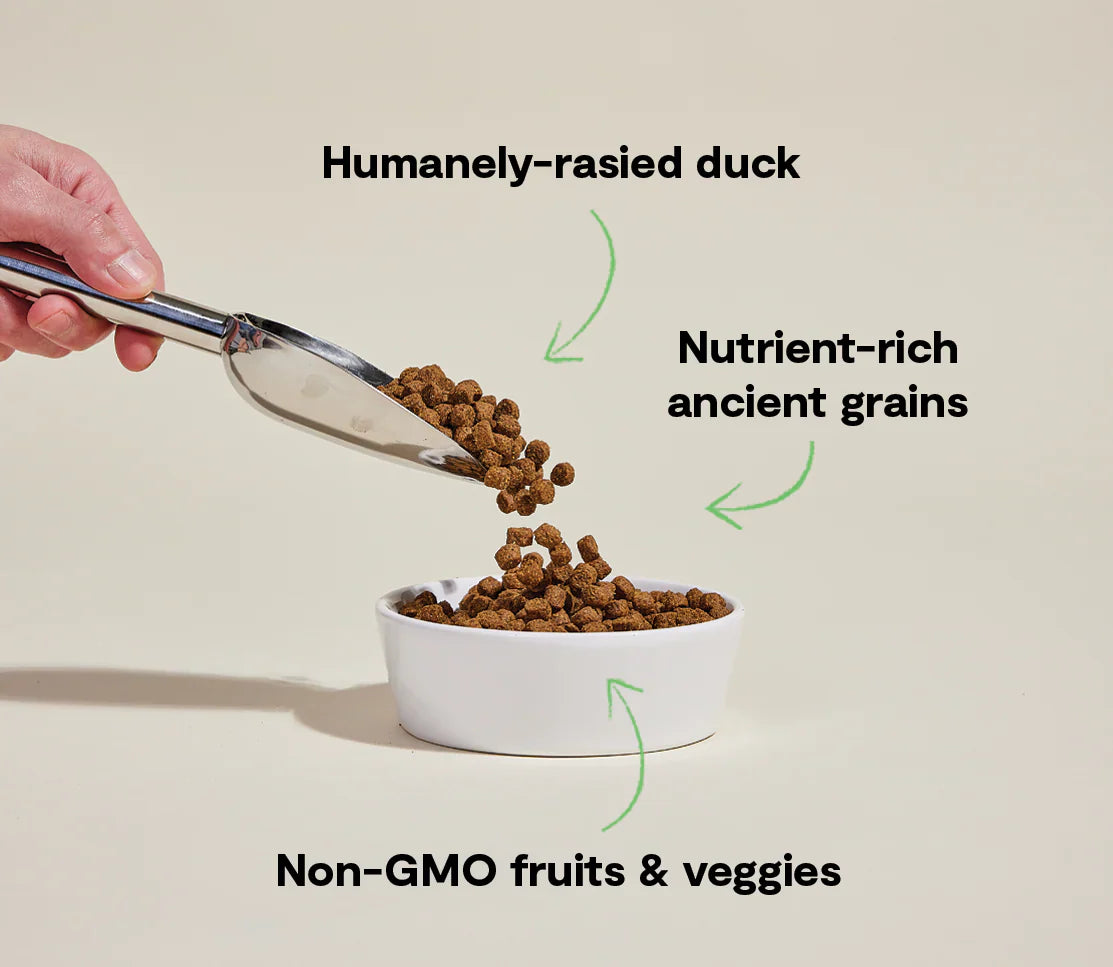 Open Farm Farmstead Duck Ancient Grains Dry Dog Food