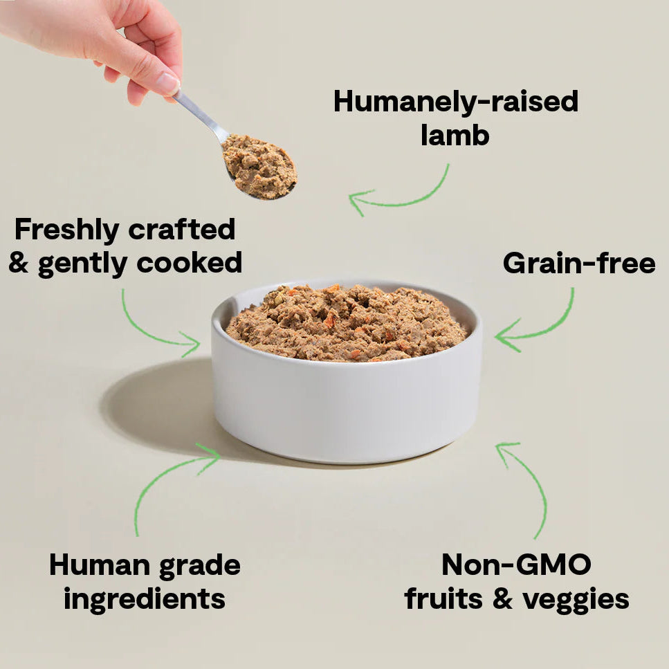 Open Farm Gently Cooked Frozen Dog Food - Lamb