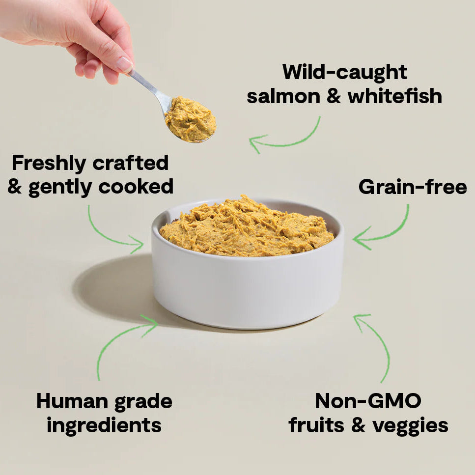 Open Farm Gently Cooked Frozen Dog Food - Fish