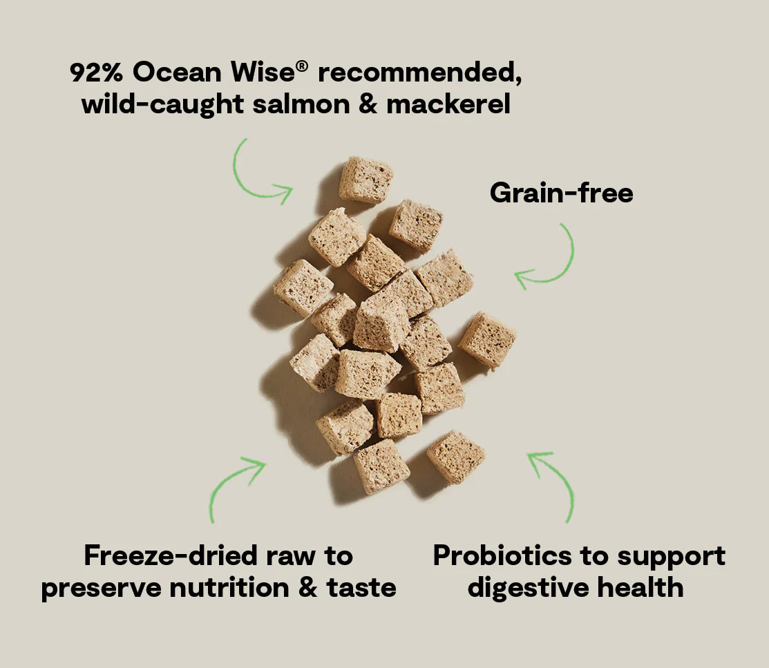 Open Farm Freeze-Dried Salmon & Mackerel Kitty Cube Cat Treats