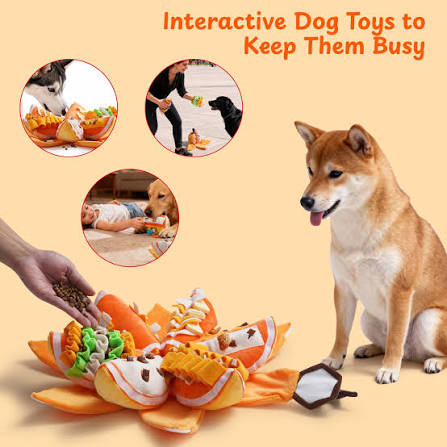Pumpkin Puzzle Dog Toys