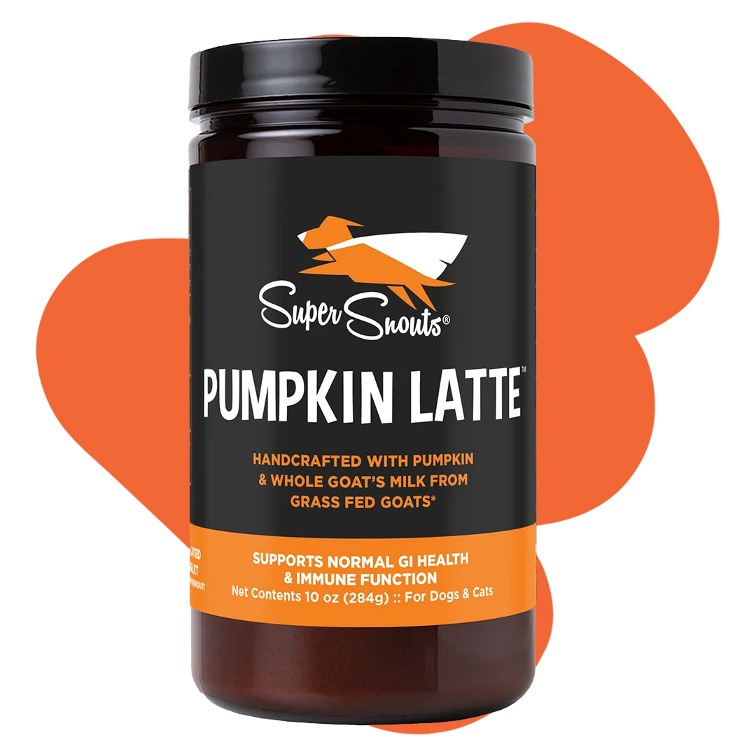 Super Snouts Pumpkin Latte