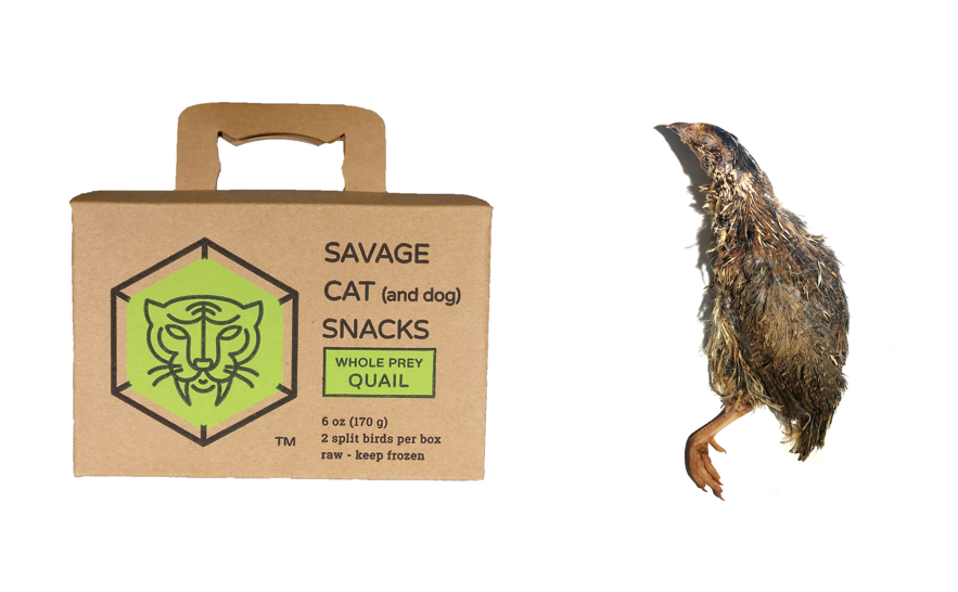 Savage Cat Frozen Whole Quail 6oz 2 Pack