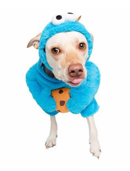 Pet Krewe Sesame Street Cookie Monster Pet Costume