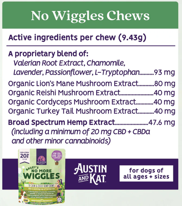 Austin and Kat No More Wiggles Chew