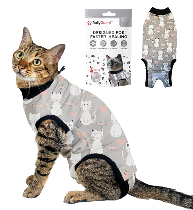 BellyGuard Cat Recovery Suit Grey