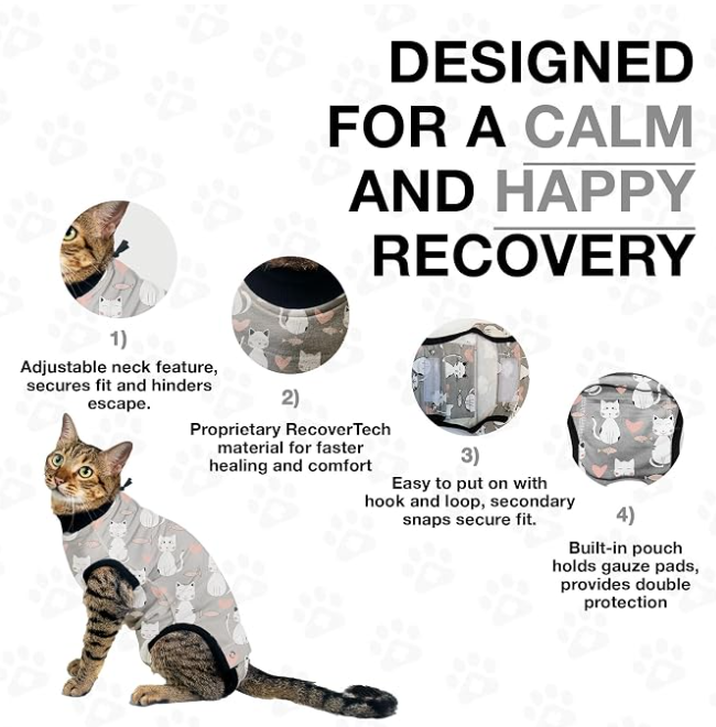 BellyGuard Cat Recovery Suit Grey
