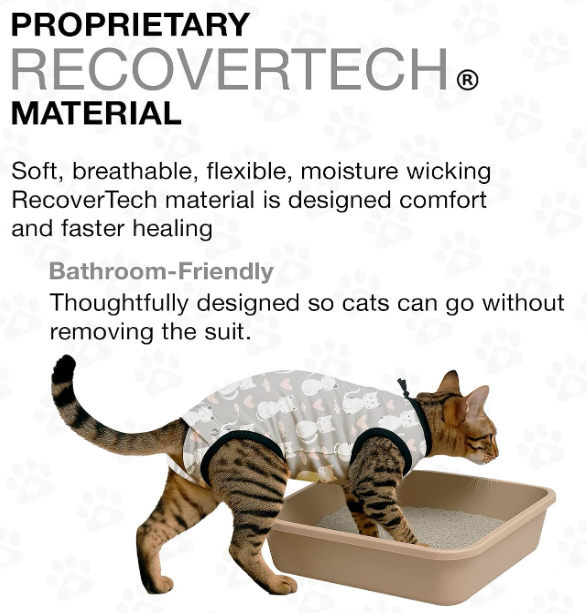 BellyGuard Cat Recovery Suit Grey