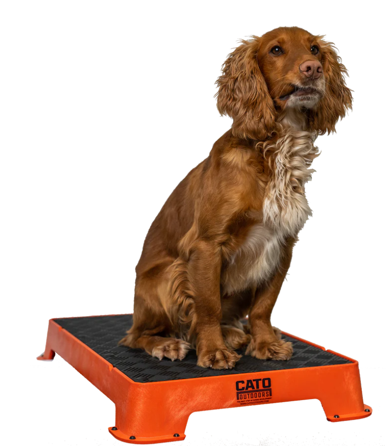 Cato Board Dog Training Platform