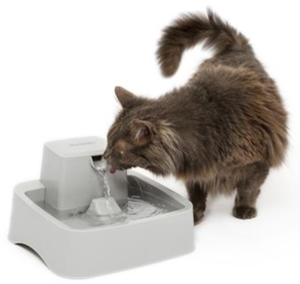 Drinkwell Pet Fountain