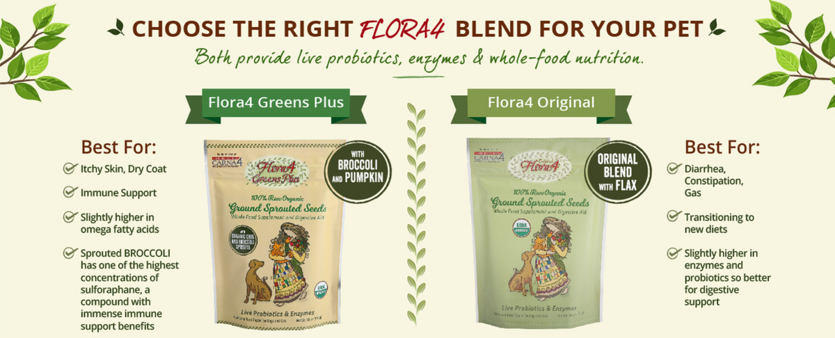 Flora4 Greens Plus Sprouted Seeds Food Topper