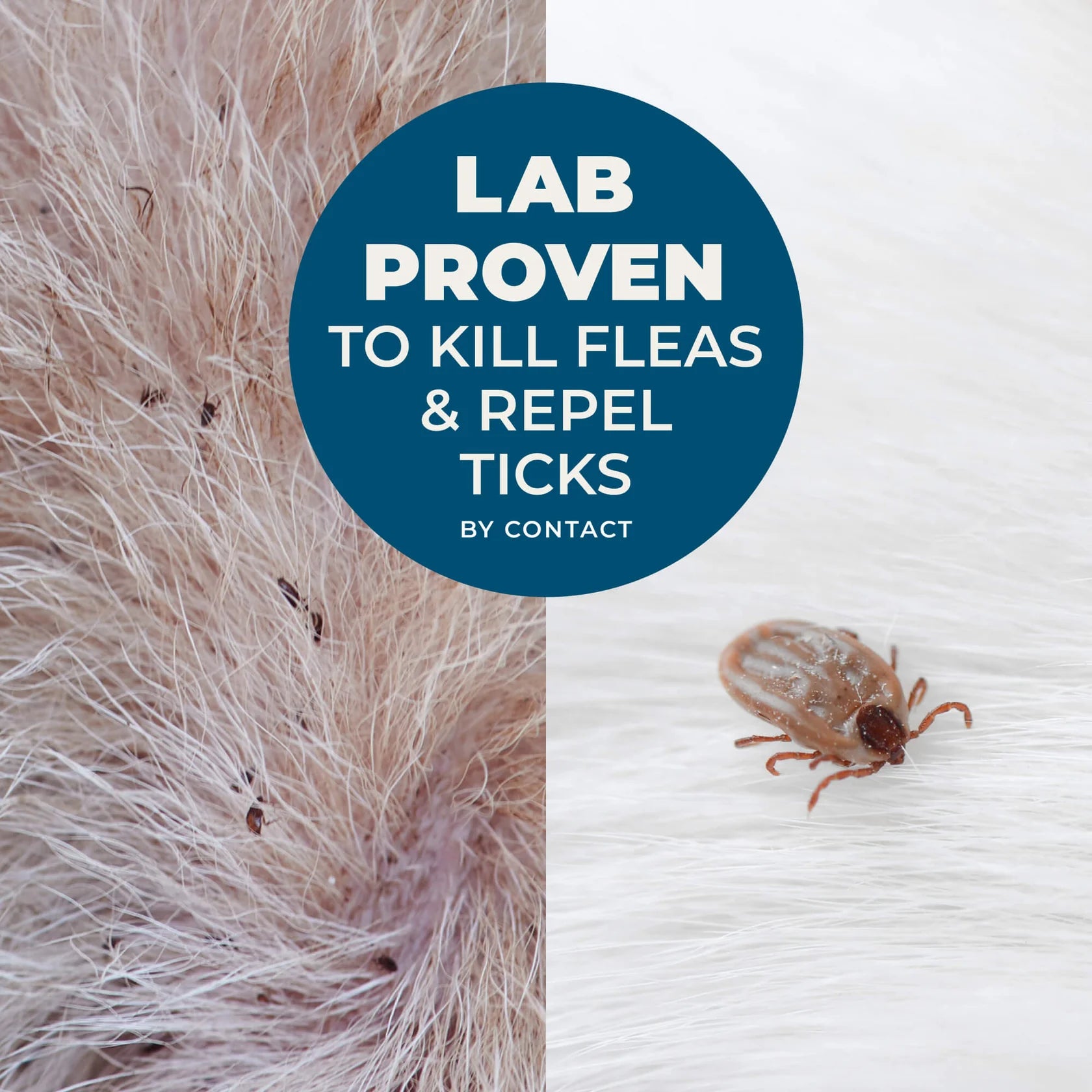 Wondercide Peppermint Flea & Tick Shampoo 12oz