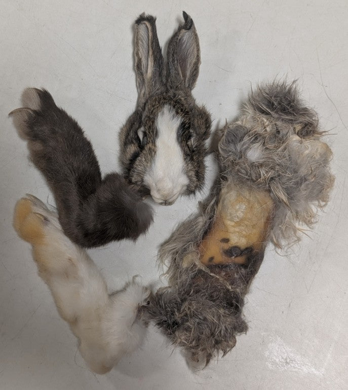 Raw Rations Dehydrated Rabbit Parts