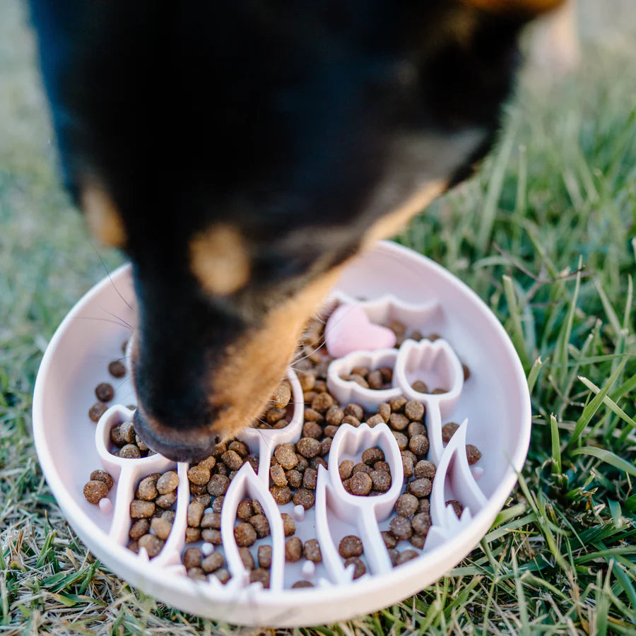 Barks and Brownies Cotton Tulip Slow Feeder