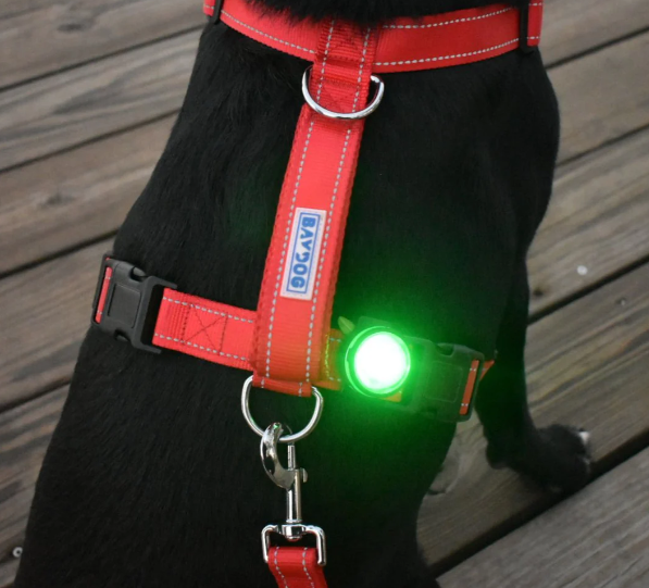 BayDog Firefly LED Safety Light