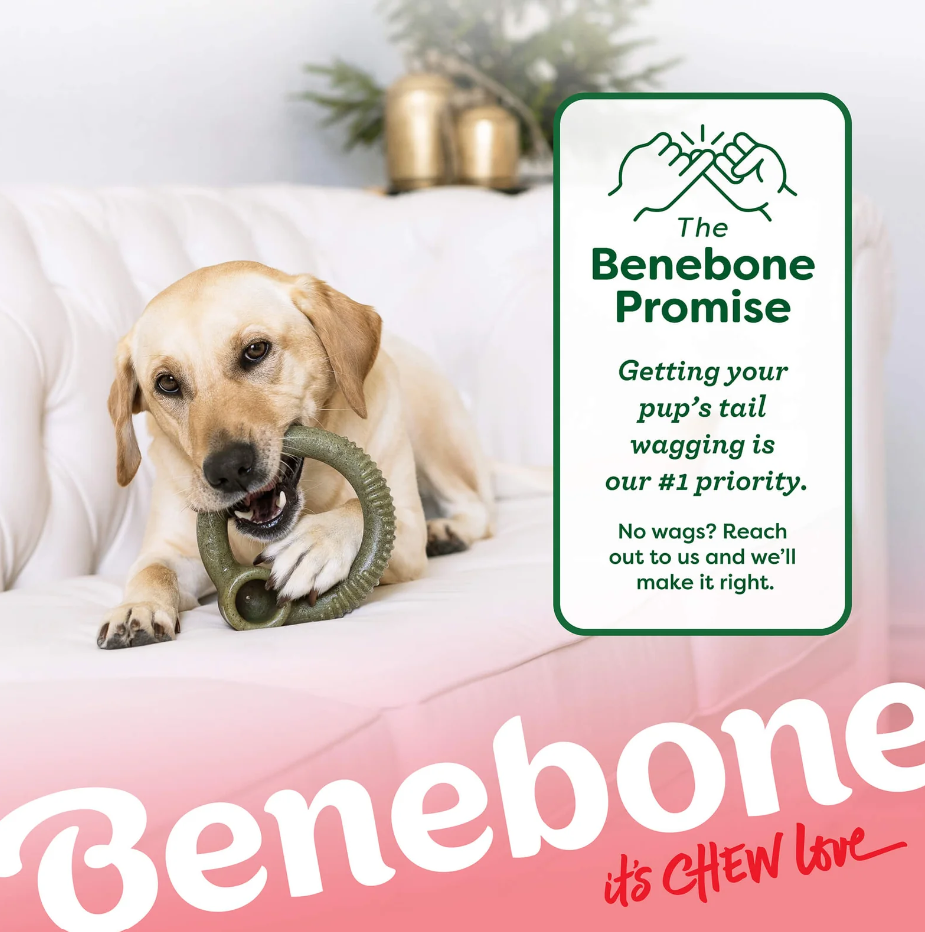 LIMITED EDITION Benebone Peppermint Ring