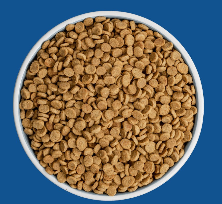 Bixbi Rawbble Turkey Dry Food