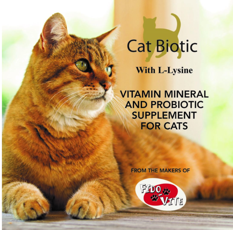 Cat Biotic