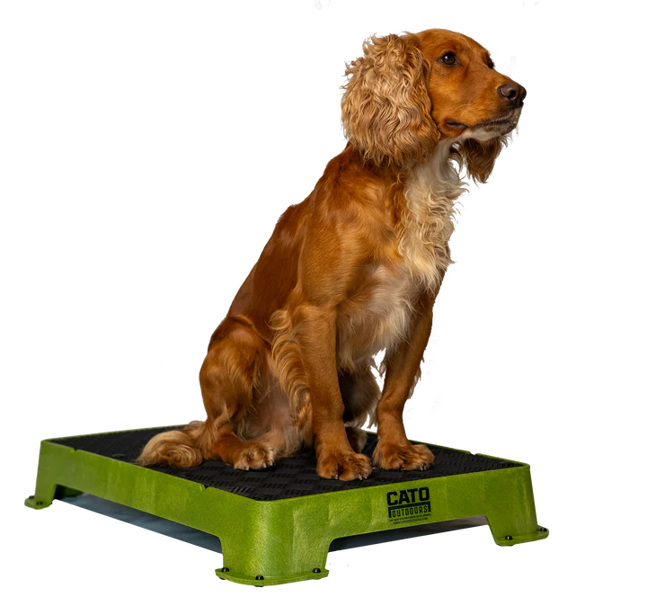 Cato Board Dog Training Platform