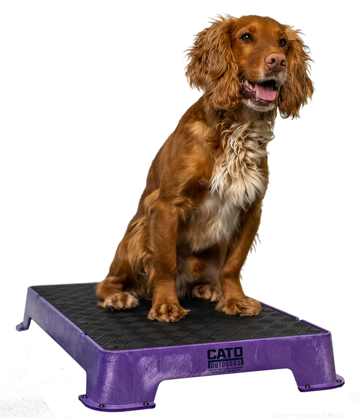 Cato Board Dog Training Platform