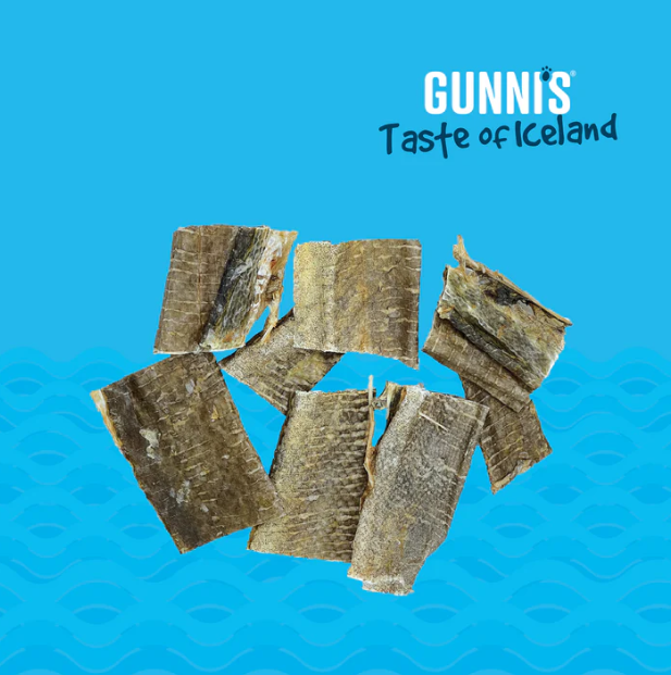 Gunni's Taste of Iceland Cod Skin Chips