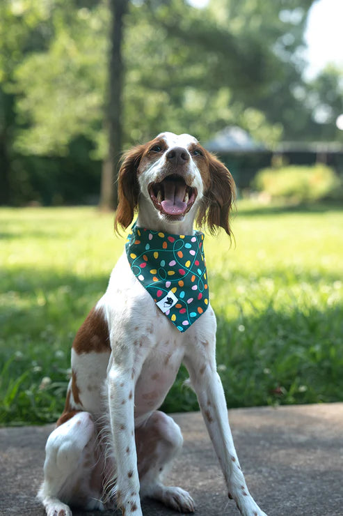 Dog Bandana Co - Lights & Candy Cane