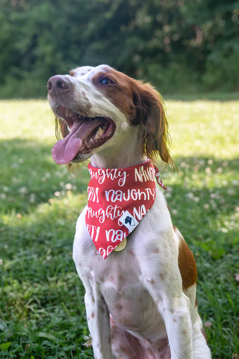 Dog Bandana Co - Naughty & Nice