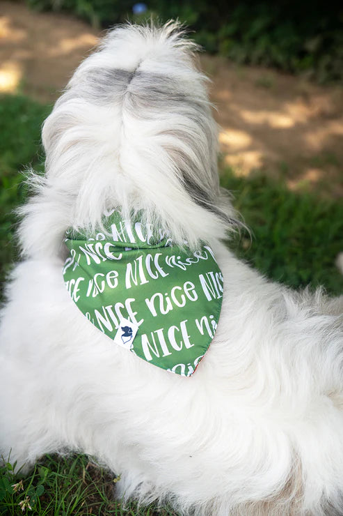 Dog Bandana Co - Naughty & Nice