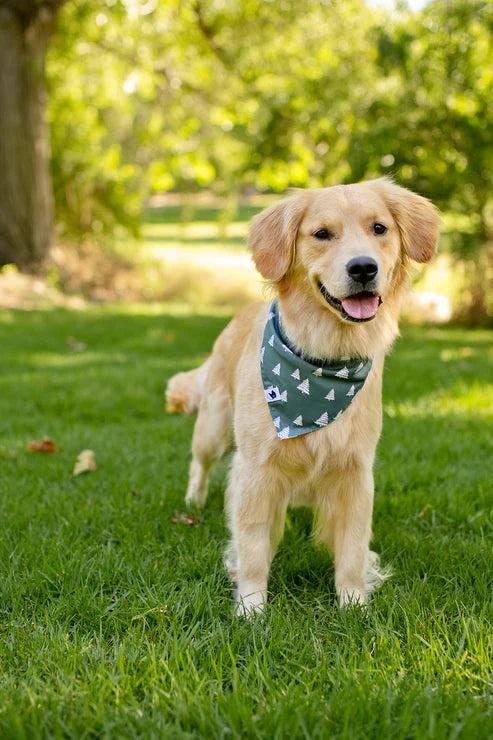 Dog Bandana Co - Santa Hats & Trees