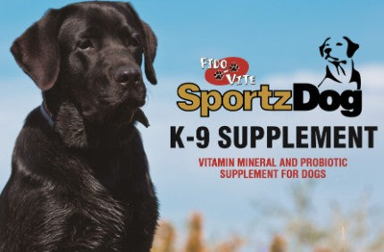 Fido-Vite Sportz Dog