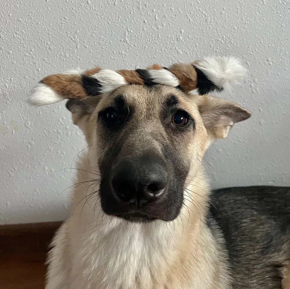 H&N Homestead Braided Rabbit Hide - ~9"