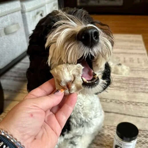 H&N Homestead Lamb Snout