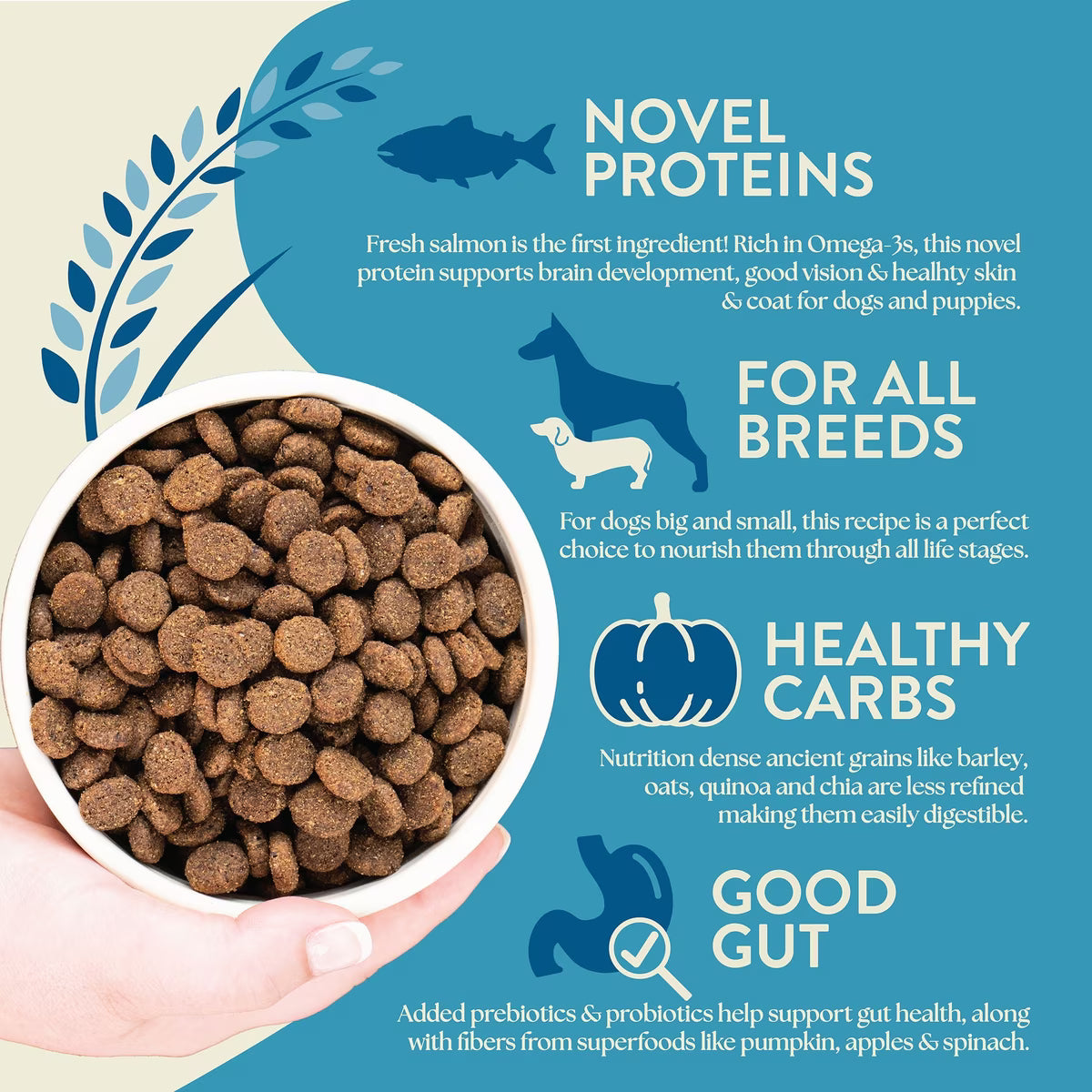 Earthborn Holistic Dog Unrefined Ancient Grains & Superfoods- Salmon