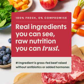 Instinct Freshraw Meals - Beef